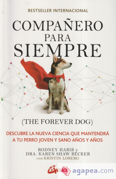 Compañero para siempre (The forever dog)