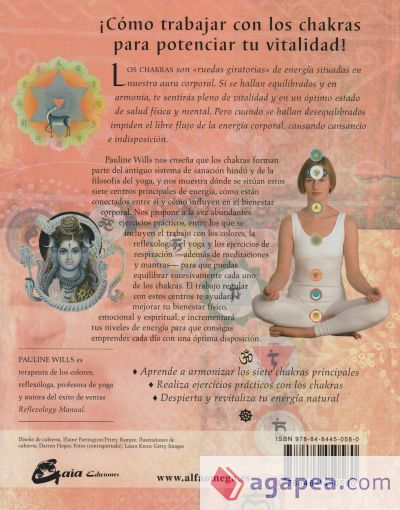 Chakras. Libro de trabajo