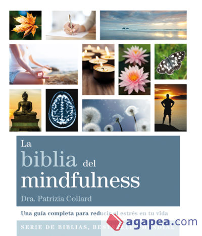 La biblia del mindfulness