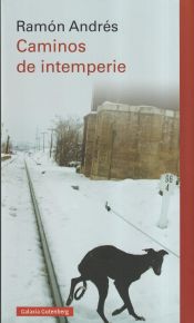 Portada de Caminos de intemperie