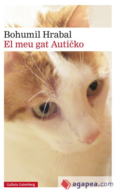 El meu gat Autícko