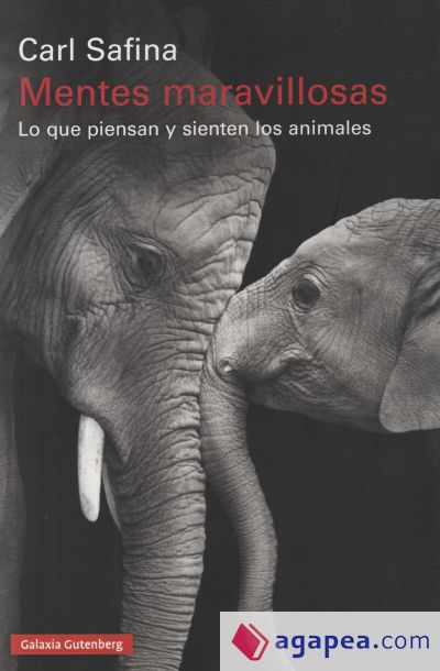 Mentes maravillosas: Lo que piensan y sienten los animales