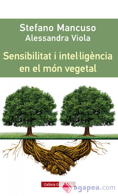 Sensibilitat i intel·ligència en el món vegetal