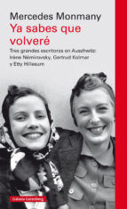 Portada de Ya sabes que volveré (Ebook)