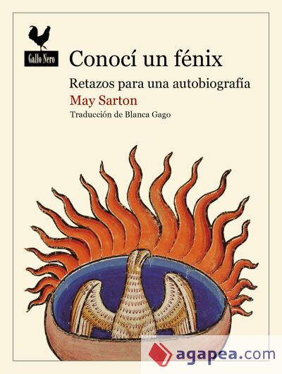 Conocí un fénix Conocí un fénix