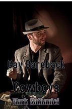 Portada de Gay Bareback Cowboys (Ebook)