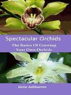 Portada de Spectacular Orchids: The Basics Of Growing Your Own Orchids (Ebook)