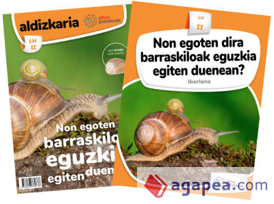 NON EGOTEN DIRA BARRASKILOAK EGUZKIA EGITEN DUENEAN? (Ikerlana)