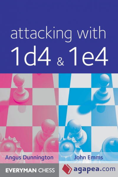 Attacking with 1d4&1e4