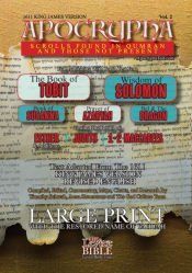 Portada de Apocrypha Scrolls Found In Qumran And Those Not Present Vol. 2