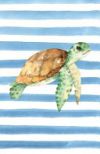 Green Sea Turtle Watercolor Stripe Journal, Blank Sketch Paper: Sketchbook Artist Notebook with Unlined Drawing Paper (Coastal Beaches & Nautical)