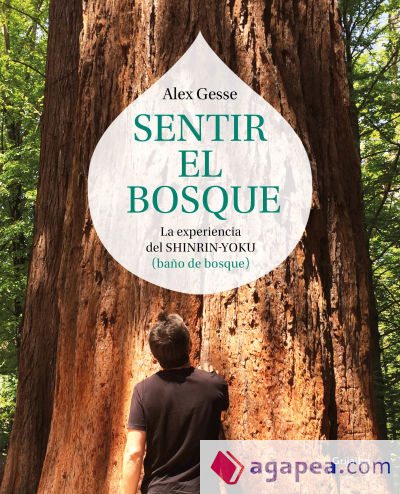 Sentir el bosque