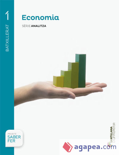 Economia 1º Batxillerat. Sèrie analitza