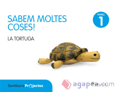 Sabem moltes coses nivell 1 la tortuga