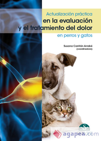 Actualización práctica en la evaluación y el tratamiento del dolor en perros y gatos