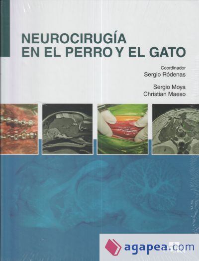 Neurocirugía en el perro y el gato