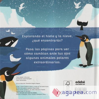 ANIMALES MÁGICOS. EN LA NIEVE