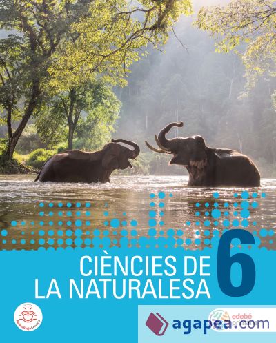 CIÈNCIES DE LA NATURALESA 6