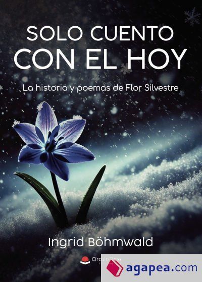 SOLO CUENTO CON EL HOY SOLO CUENTO CON EL HOY