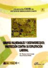 Grupos vulnerables y desfavorecidos. Protección contra su explotación laboral