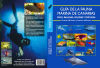 Guía de la fauna marina de Canarias