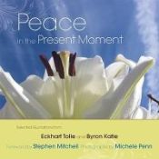 Portada de Peace in the Present Moment
