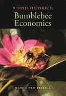 Portada de Bumblebee Economics: Revised Edition