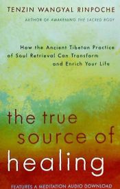 Portada de The True Source of Healing: How the Ancient Tibetan Practice of Soul Retrieval Can Transform and Enrich Your Life