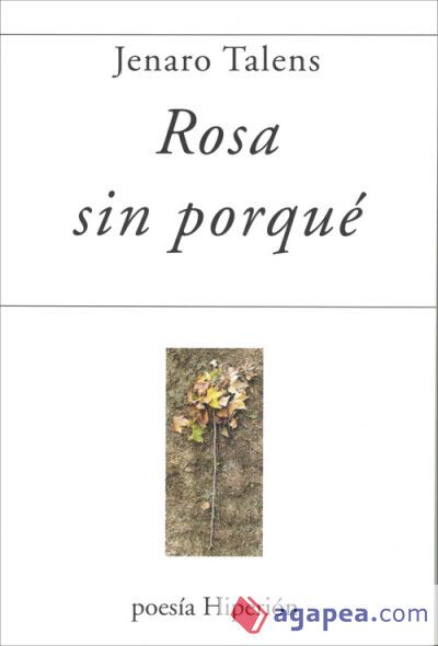 ROSA SIN PORQU&Eacute;