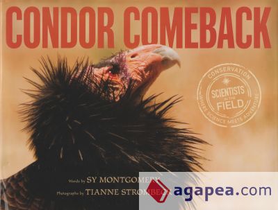 Condor Comeback