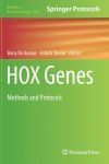 HOX Genes