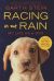 Portada de Racing in the Rain, de Garth Stein