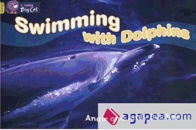 Swimming With Dolphins