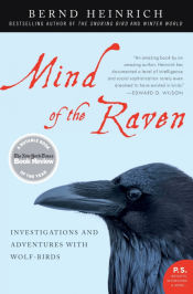 Portada de Mind of the Raven