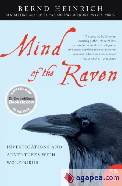 Mind of the Raven