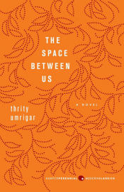 Portada de Space Between Us, The