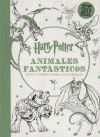 Harry Potter. Animales Fantásticos y dónde encontrarlos: Mini libro para colorear