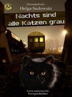 Portada de Nachts sind alle Katzen grau (Ebook)