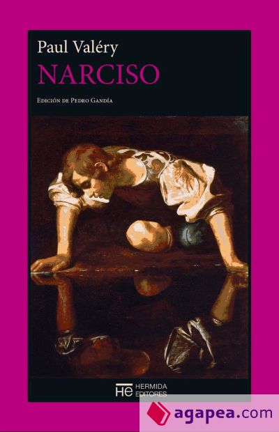 Narciso