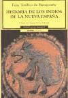 Historia De Los Indios De Nueva España