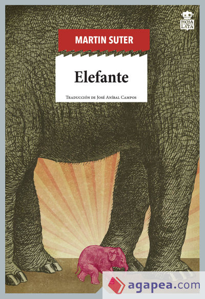 Elefante