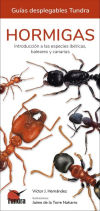 Hormigas guias desplegables Tundra