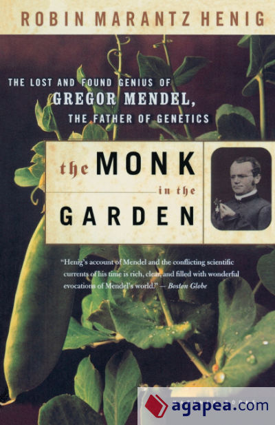 The Monk in the Garden