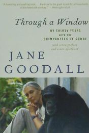 Portada de Through a Window