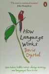 How Language Works