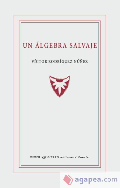 Un algebra salvaje