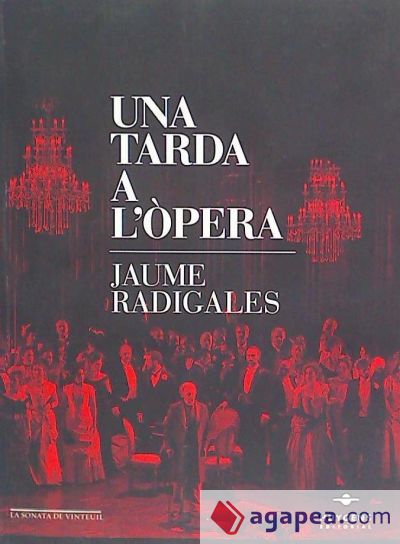 Una tarda a l'òpera