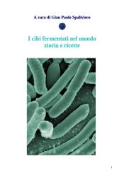 Portada de I cibi fermentati nel mondo - Storia e ricette (Ebook)
