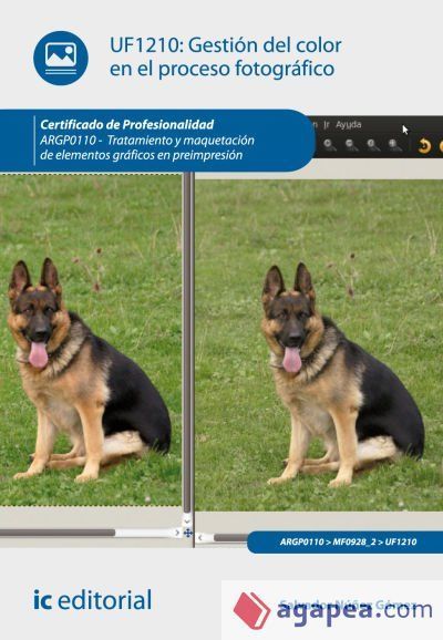 Gesti&oacute;n del color en el proceso fotogr&aacute;fico. argp0110 - tratamiento y maquetaci&oacute;n de elementos gr&aacute;ficos en preimpresi&oacute;n