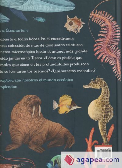 Oceanarium Oceanarium